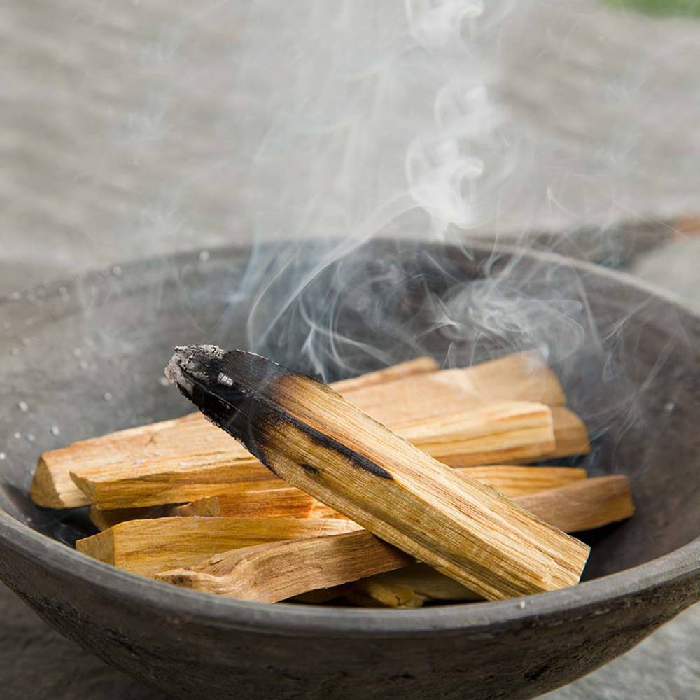 Palo Santo – Das heilige Holz aus Südamerika | 100 g