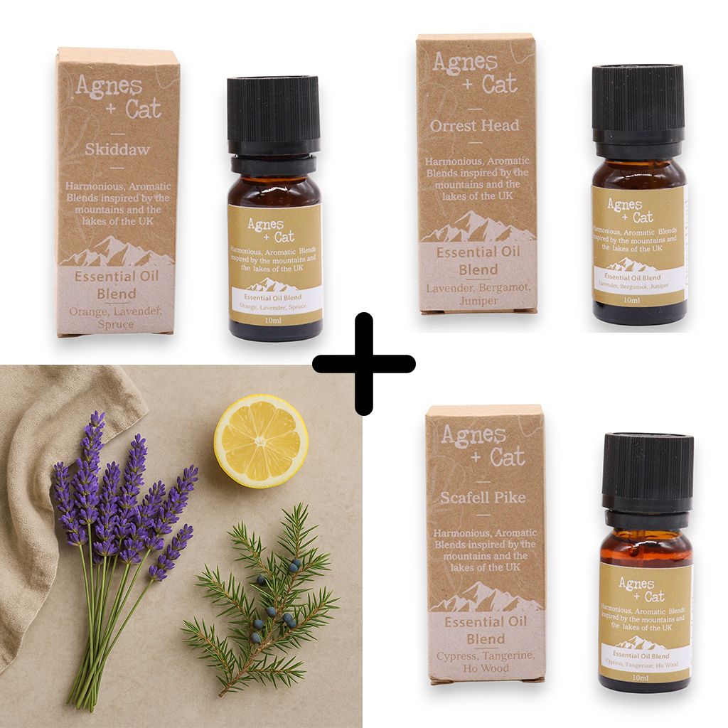 Zenmist Relax & Unwind Essential Oil Set – Calm Your Mind & Soothe Your Senses