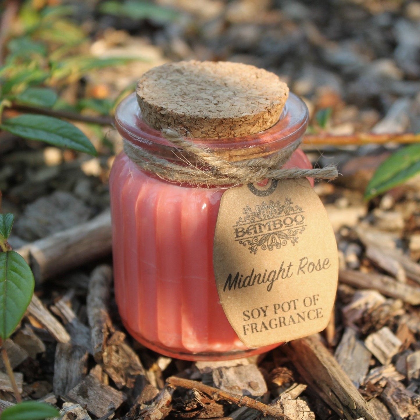 Midnight Rose Soy Pot Candle
