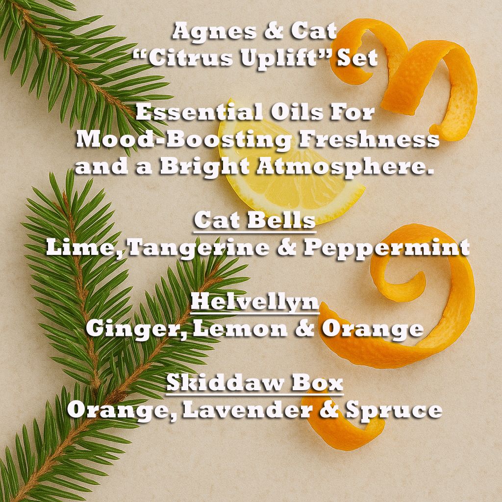 Agnes & Cat - Citrus Uplift Set Of 3 Essential Oil Blends