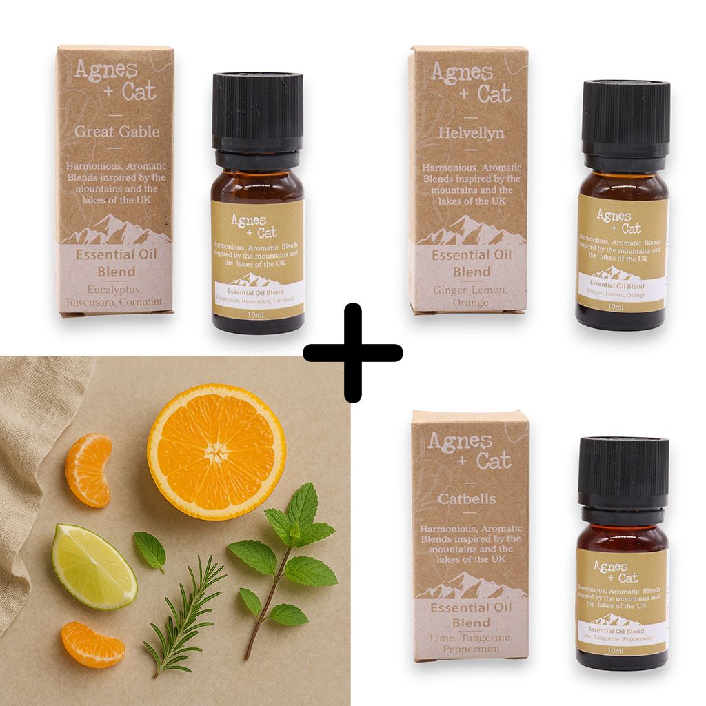 Agnes &amp; Cat – Energie-Boost-Set mit 3 ätherischen Ölmischungen