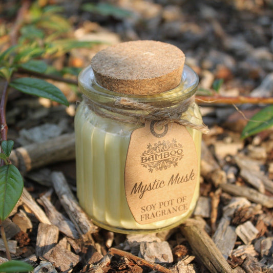 Mystic Musk Soy Pot Candle
